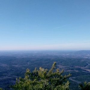 Meet your Posher, Savannah